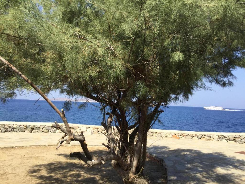 Poseidon Secret Blue Pools Hotel Ornos  Luaran gambar